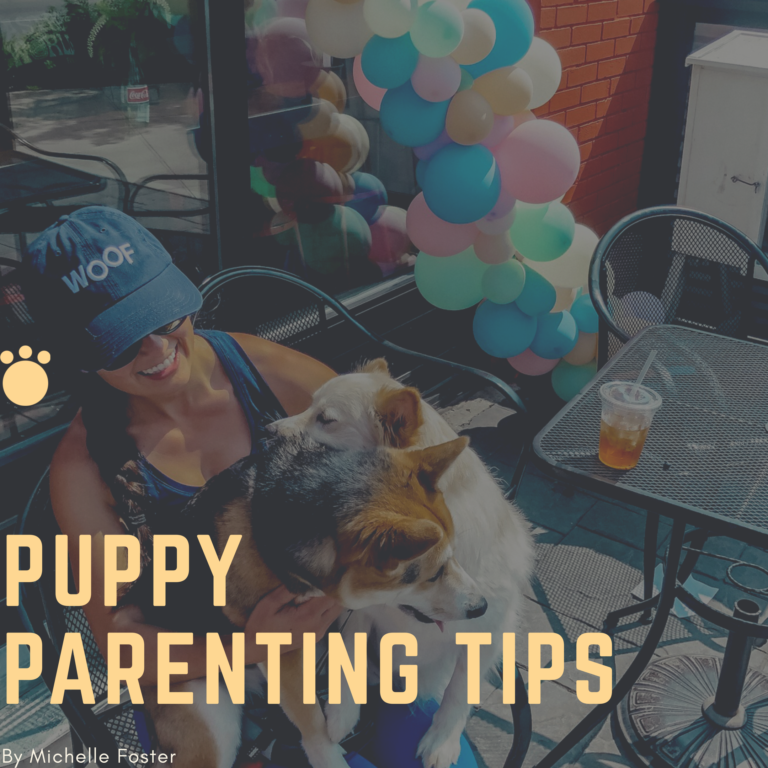 Puppy Parenting Tips