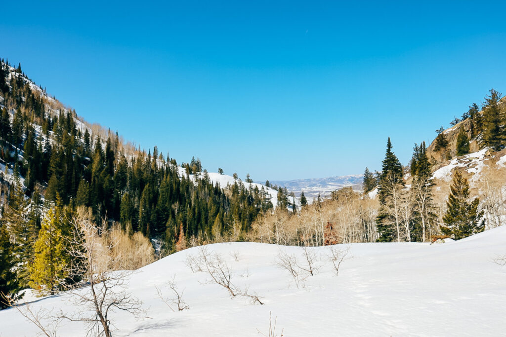 hiking fish creek falls. steamboat, colorado 