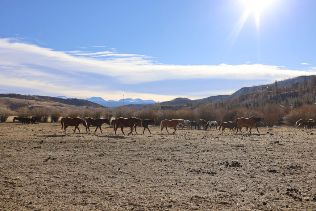 ranch in colorado 